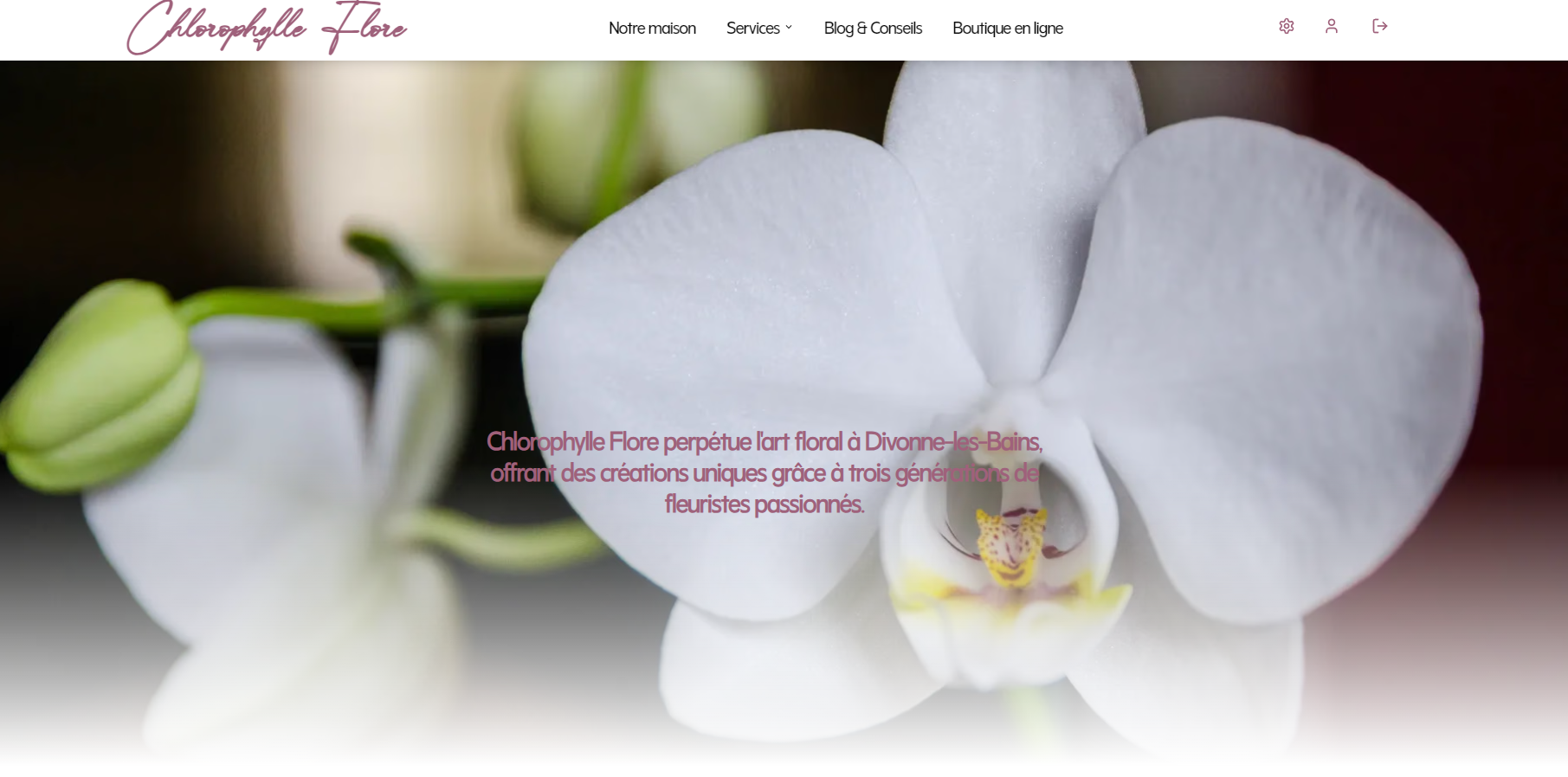 E-commerce & blog & site vitrine Chlorophylle Flore